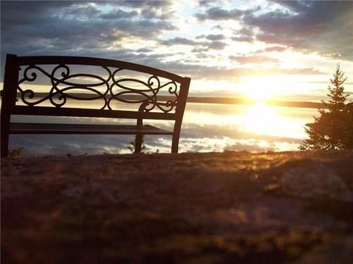 Edgewater Motel And Campground Temiskaming Shores Экстерьер фото